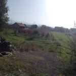 IMG-e65cf2d0a1a3f59656d8e7f3dff8a3d0-V