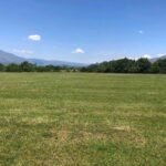 plac prodaja martinici