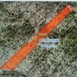 plac za prodaju piperi