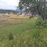 IMG-ea75761574cb1c842ef1af66512f9d0c-V