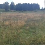 IMG-fc538d107648634833f939c567883cf2-V