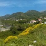 TimePhoto-20170614-110132