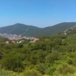 TimePhoto-20170614-110147