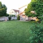 IMG-68ae05384a97a1ab1727613214af9678-V