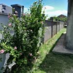 IMG-20250211-111426-416