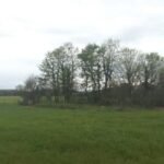 480392209-1368174820862173-1542705711744491002-n