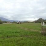 482427418-526421987153415-3707730688903680312-n